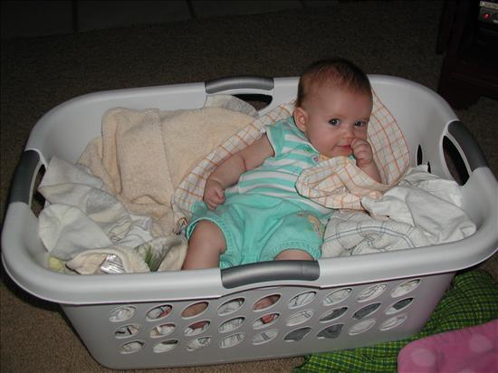 Molly helping out with the laundry!