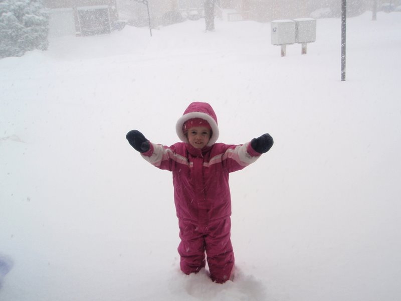 The blizzard of 2011